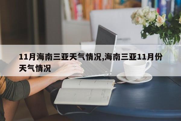 11月海南三亚天气情况,海南三亚11月份天气情况 第1张