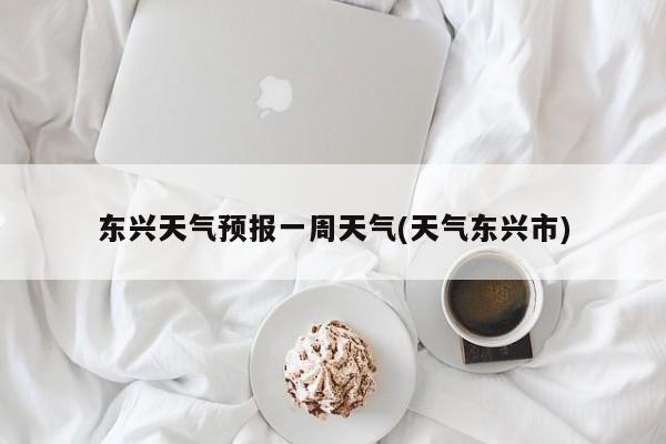 东兴天气预报一周天气(天气东兴市) 第1张