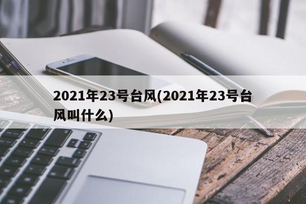 2021年23号台风(2021年23号台风叫什么) 第1张
